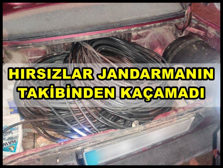 Hırsızlar jandarmanın takibinden kaçamadı