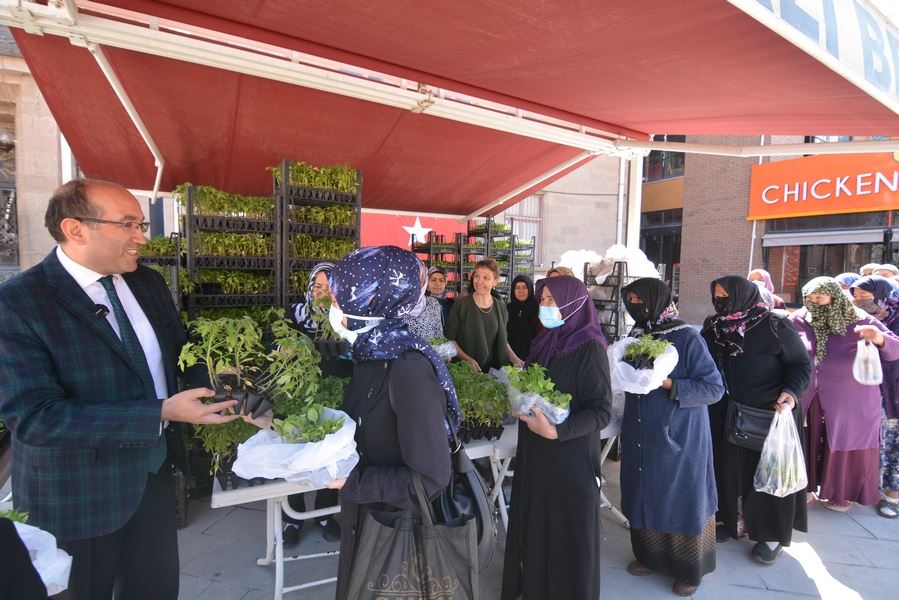 Başkan Çöl’den vatandaşa ücretsiz fide dağıtımı