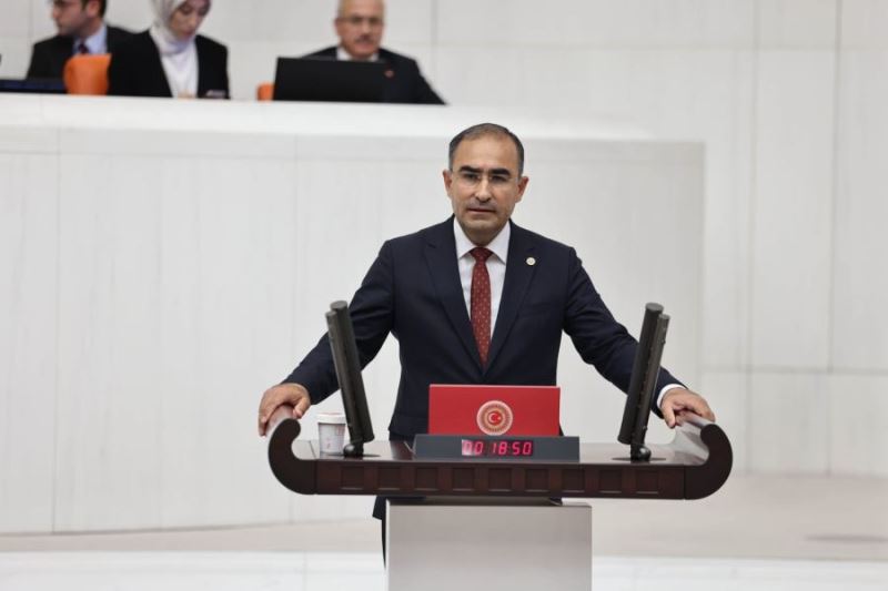 Milletvekili Hasan Arslan, Meclis