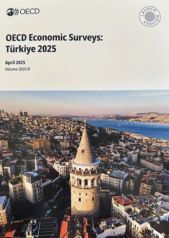 Türkiye Ekonomisi OECD