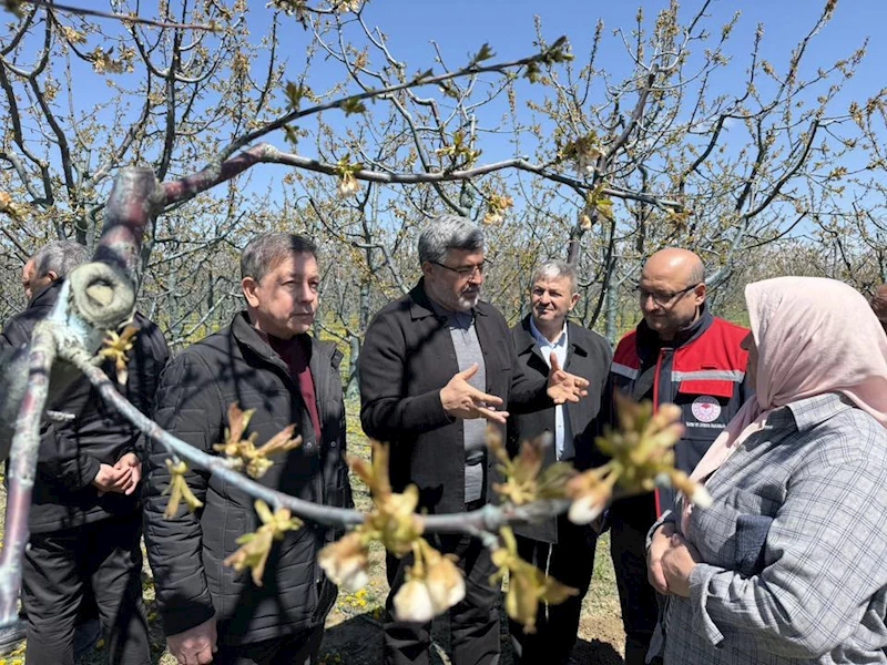 Afyonkarahisar
